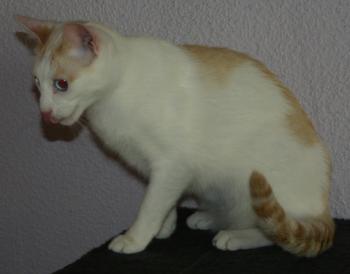 Chiqui Bild von Chiqui