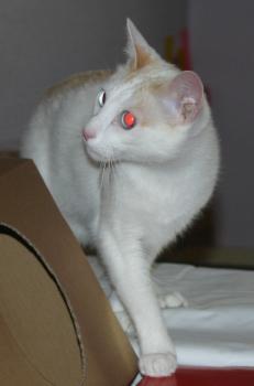 Chiqui Bild von Chiqui