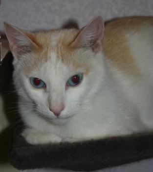 Chiqui Bild von Chiqui