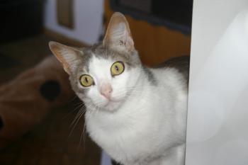 Bild von Era