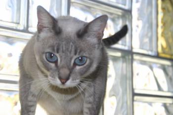 Bild von Happy