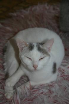 Rosi Bild von Rosi