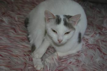 Rosi Bild von Rosi