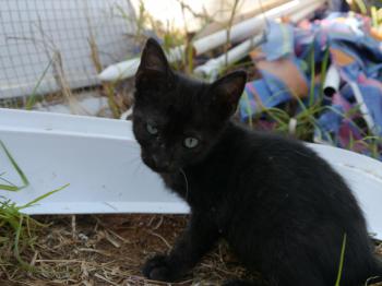Pancho Bild von Pancho