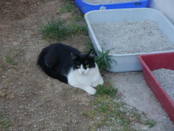 Layla Bild von Layla