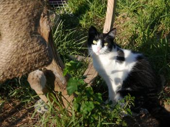 Layla Bild von Layla