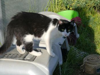 Layla Bild von Layla