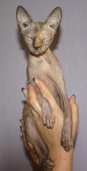 Sheena Bild von Sheena
