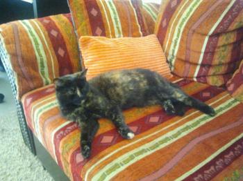 Lilly Bild von Lilly