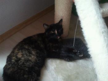 Lilly Bild von Lilly