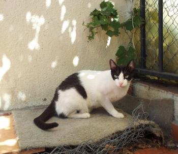 Agusti Bild von Agusti