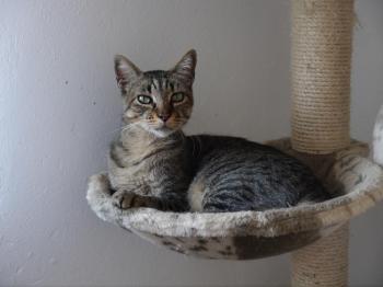 Linus Bild von Linus