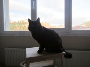 Gamelin Bild von Gamelin