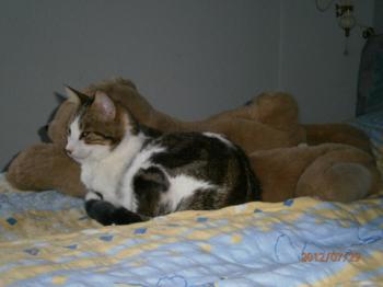 Paco Bild von Paco