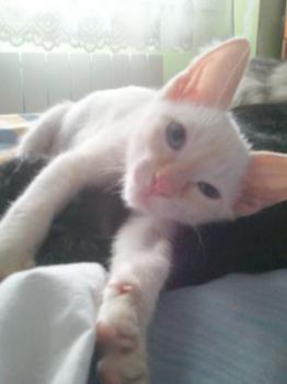 Zeus Bild von Zeus