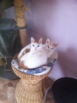 Chiqui Bild von Chiqui
