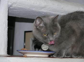Lola Bild von Lola