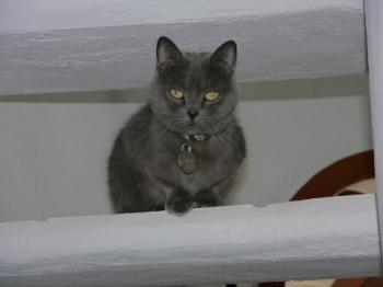 Lola Bild von Lola