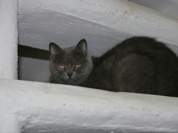 Lola Bild von Lola