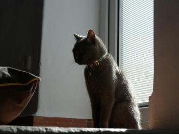 Lola Bild von Lola
