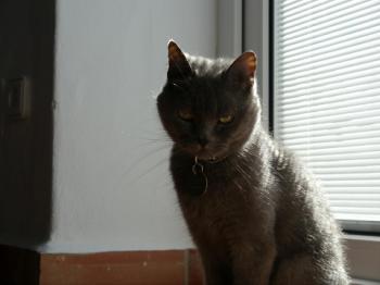 Lola Bild von Lola