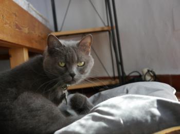 Lola Bild von Lola