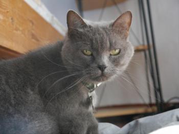 Lola Bild von Lola