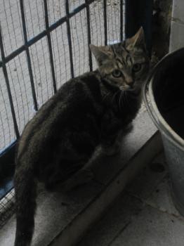 Bild von Nacha