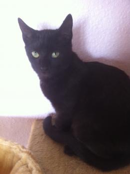 Lilith Bild von Lilith