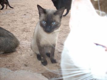 Monty Bild von Monty