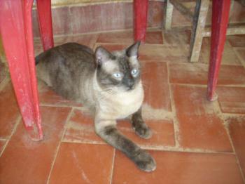 Monty Bild von Monty