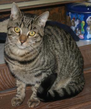Lutzie Bild von Lutzie
