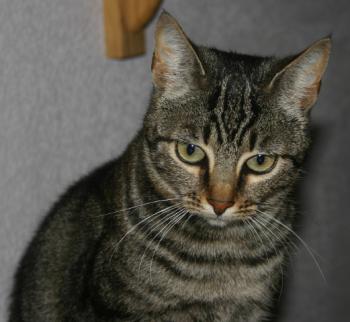 Lulu Bild von Lulu