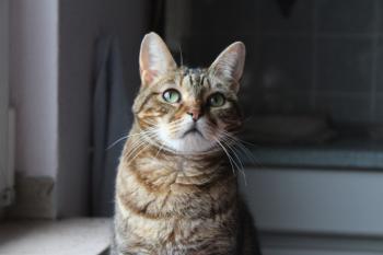 Avelina Bild von Avelina