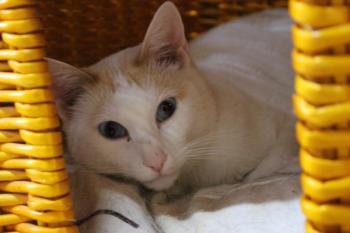 Chiqui Bild von Chiqui