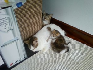 Cora Bild von Cora