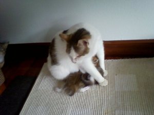 Cora Bild von Cora