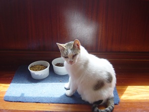 Cora Bild von Cora