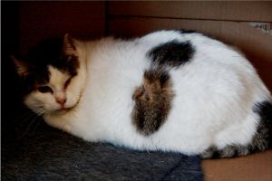 Cora Bild von Cora