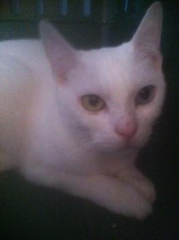 Theodora Bild von Theodora