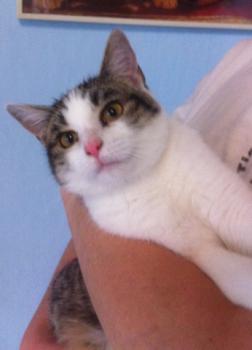 Hanni Bild von Hanni