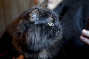 Belinda Bild von Belinda