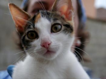 Babette Bild von Babette