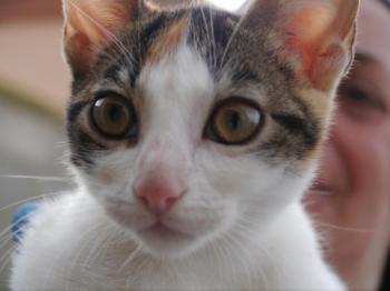 Babette Bild von Babette