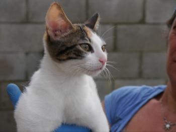 Babette Bild von Babette