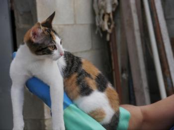Babette Bild von Babette