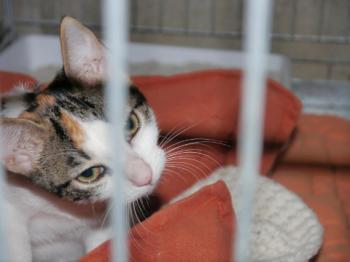 Babette Bild von Babette