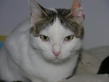 Daisy Bild von Daisy