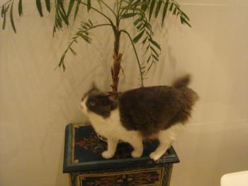 Lilian Bild von Lilian