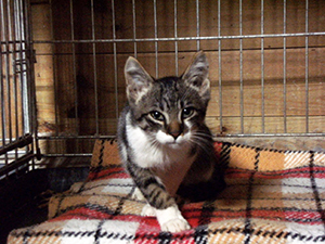 Simon Bild von Simon